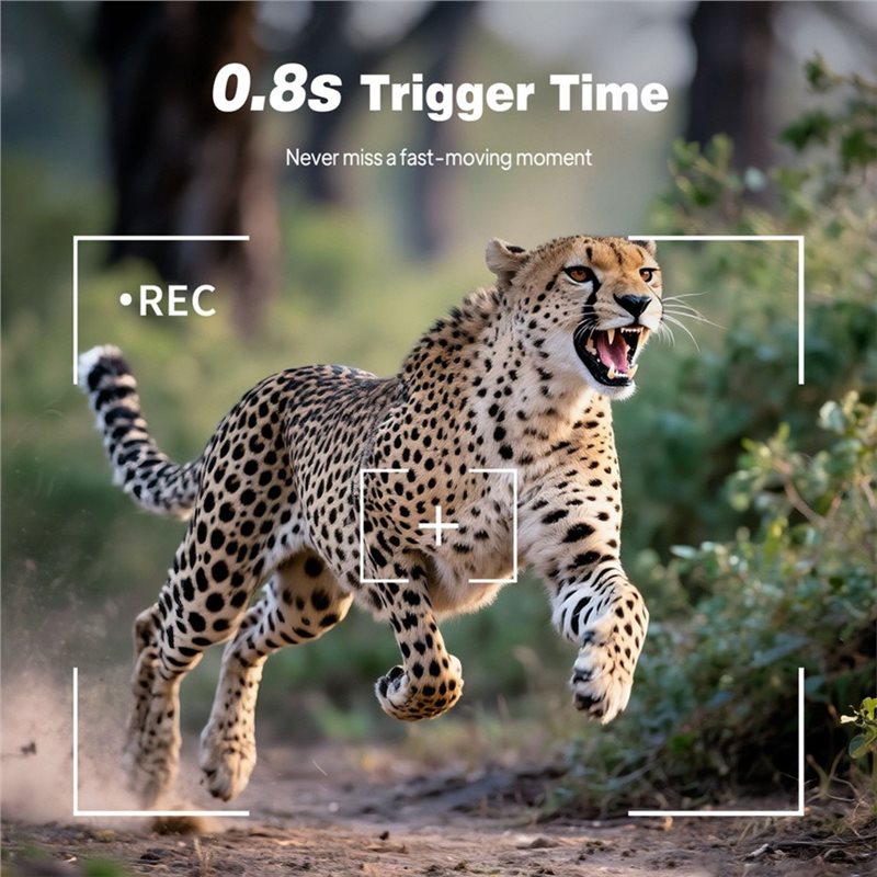 屋外用トレイルカメラ、1080P HD、赤外線暗視機能、2. - Trail Camera Infrared のレビューと価格