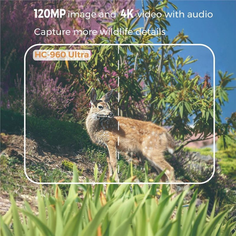 A99E-屋外用4G 120MP 4Kライブショーストリーム - Hunting And Outdoor Shows のレビューと価格